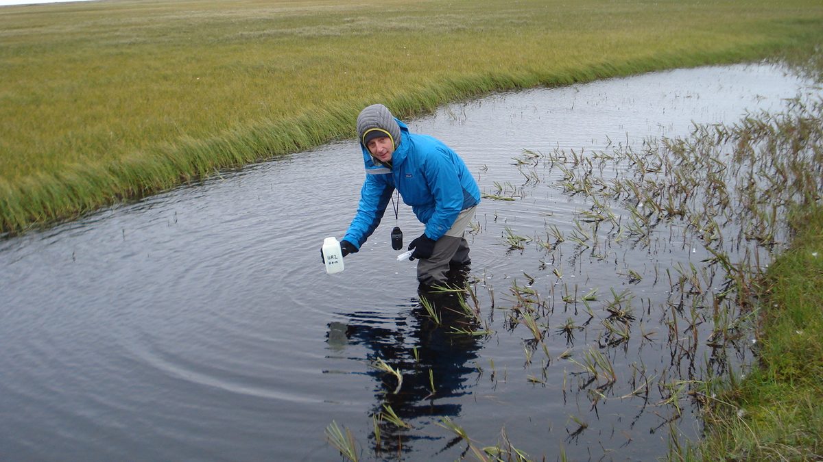 Источники излучения в экологических лабораториях: контроль среды и продукции